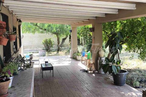 Landejendom i Caudete, Albacete, Caudete - € 165.000 | Ref: SF0576 - foto 3